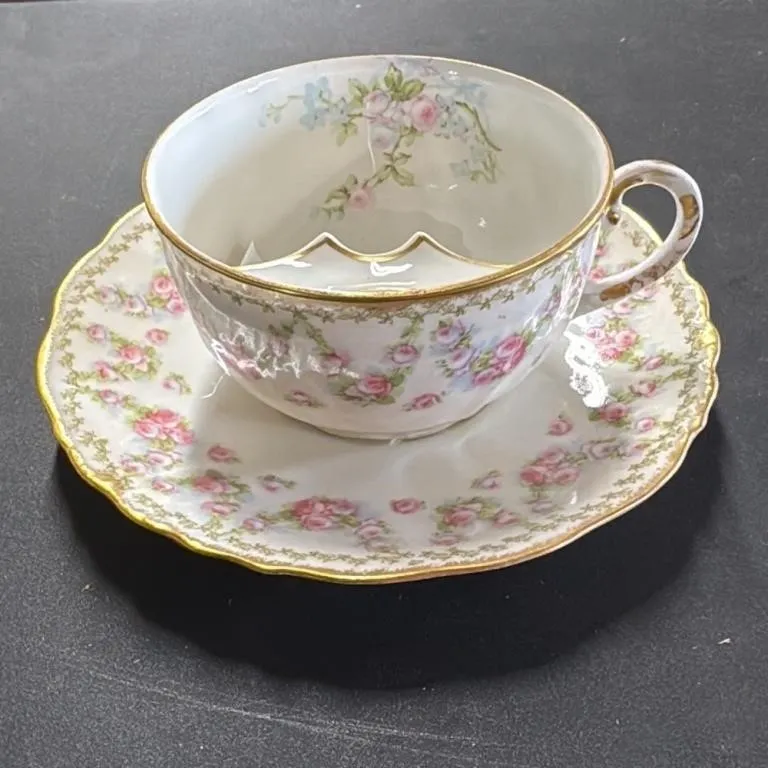 Elite Works Limoges France Porcelain Tea Cup and S