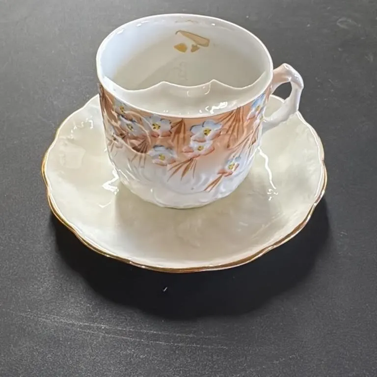 Antique Mustache Guard Coffee Cup and Saucer Set