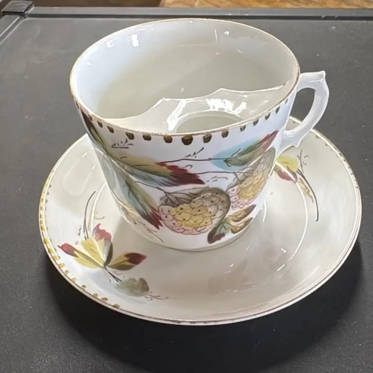 Antique Mustache Cup and Saucer Set Floral Design