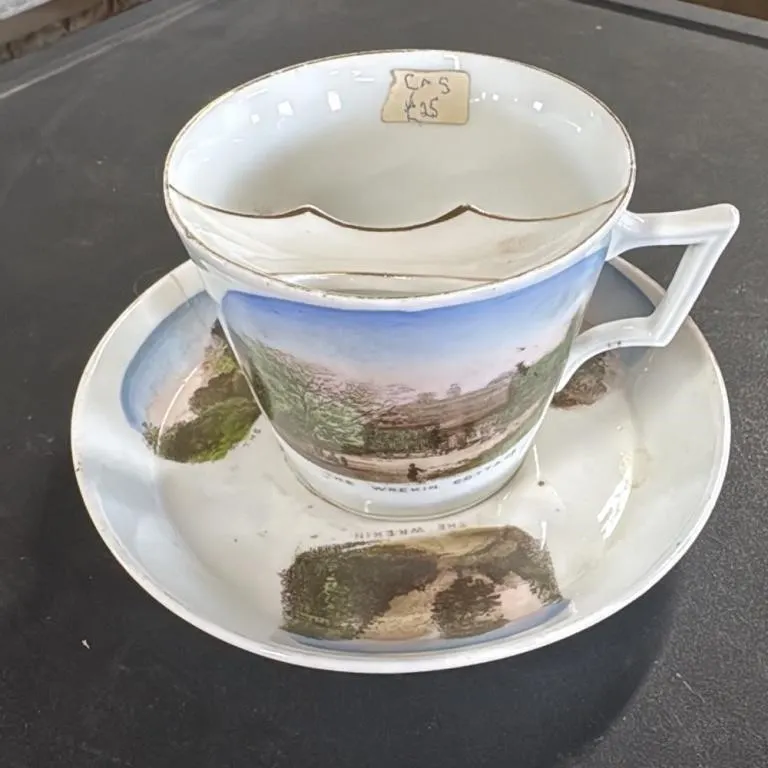 Antique "The Wrekin" Cup and Saucer Set