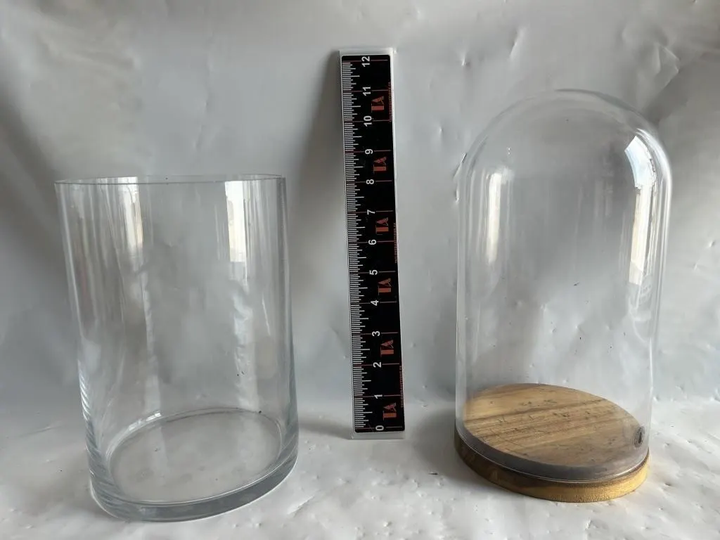 Glass Cylinder Vase & Dome Cloche w/ Wood Base