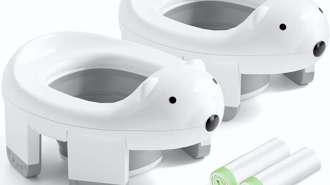 New $39 Bunwag 2-in-1 Potty Toilet & Seat (2Pack)