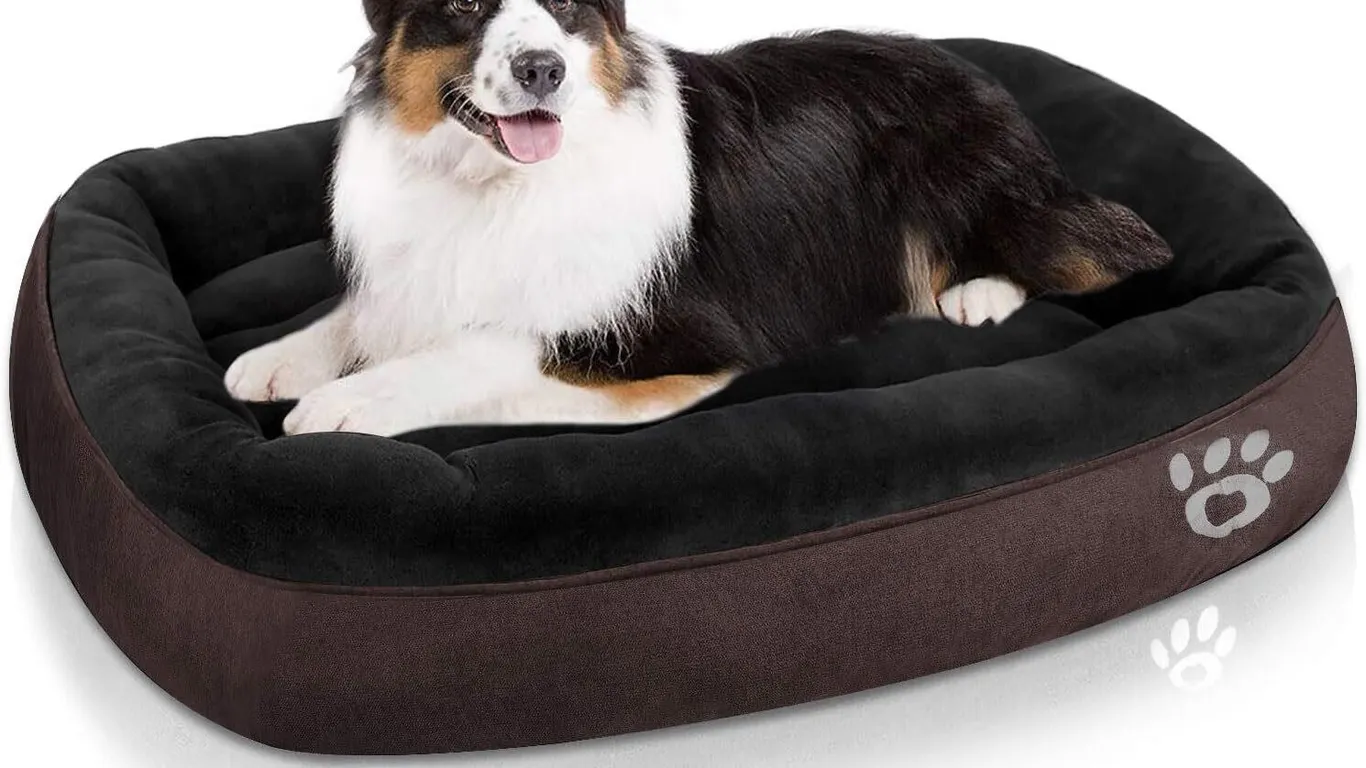 New $52 Dog Bed Large) Washable