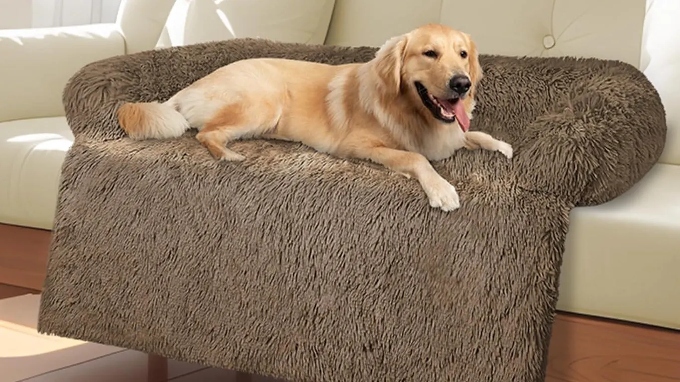 Used $60 Dog Couch Bed with Removable Cover, Brown