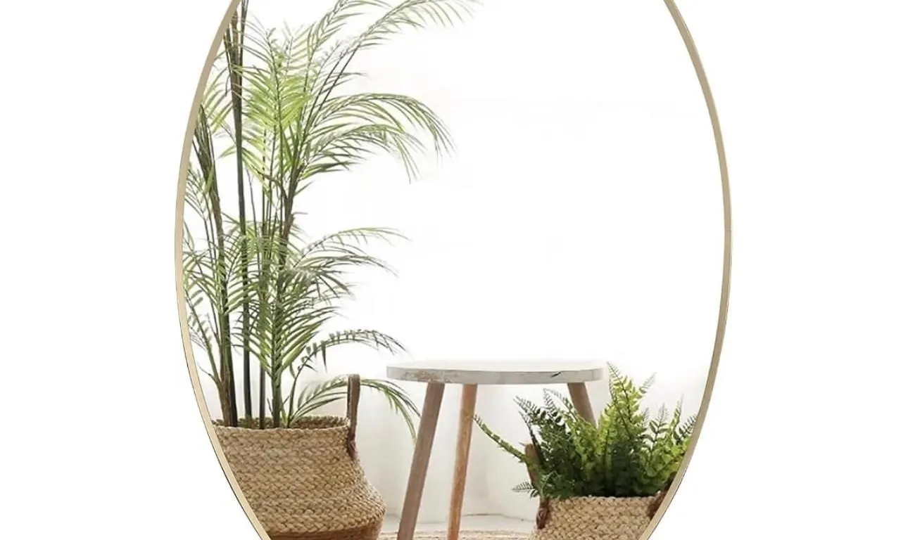 $134 New - Growsun Oval Mirror for Home De cor
