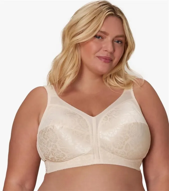 NEW $33 (38DDD) Playtex