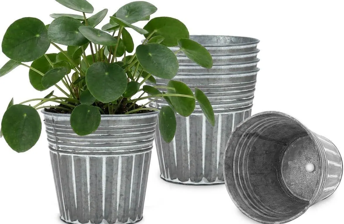 NEW 6pk 5" Galvanized Metal Plant Pots - Teal
