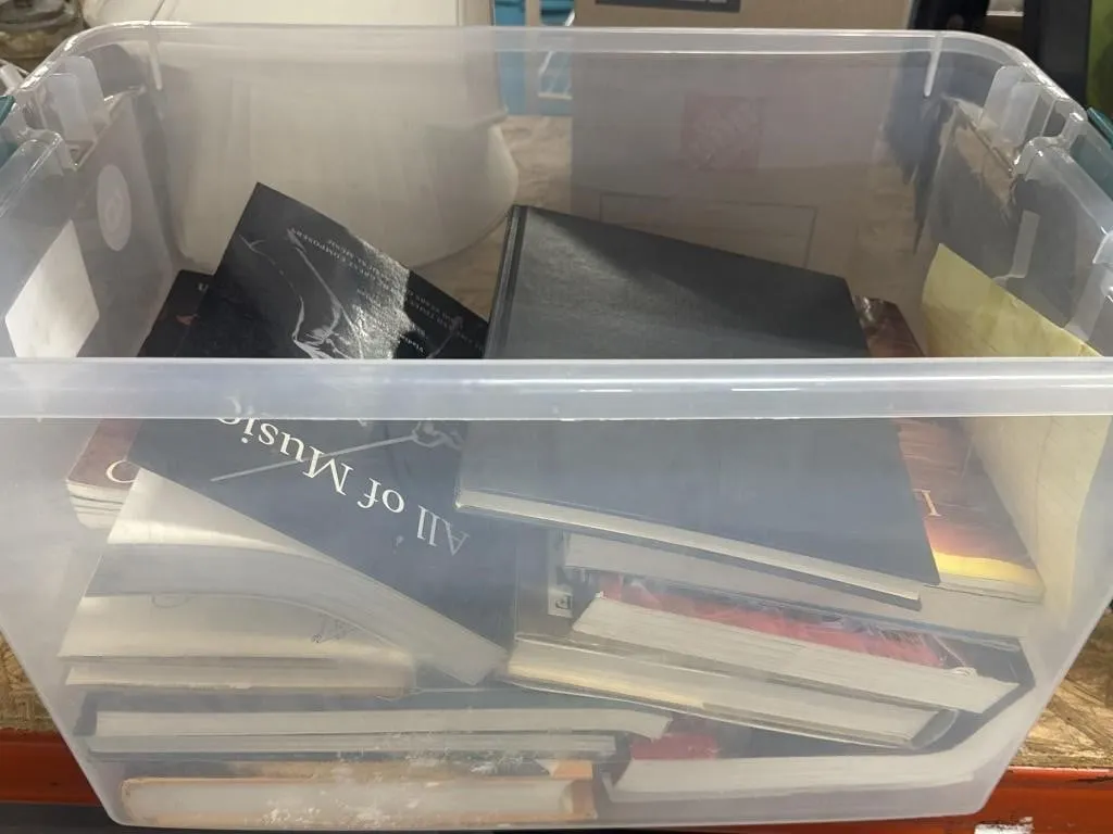 Mystery Bin with Assorted Books #6603