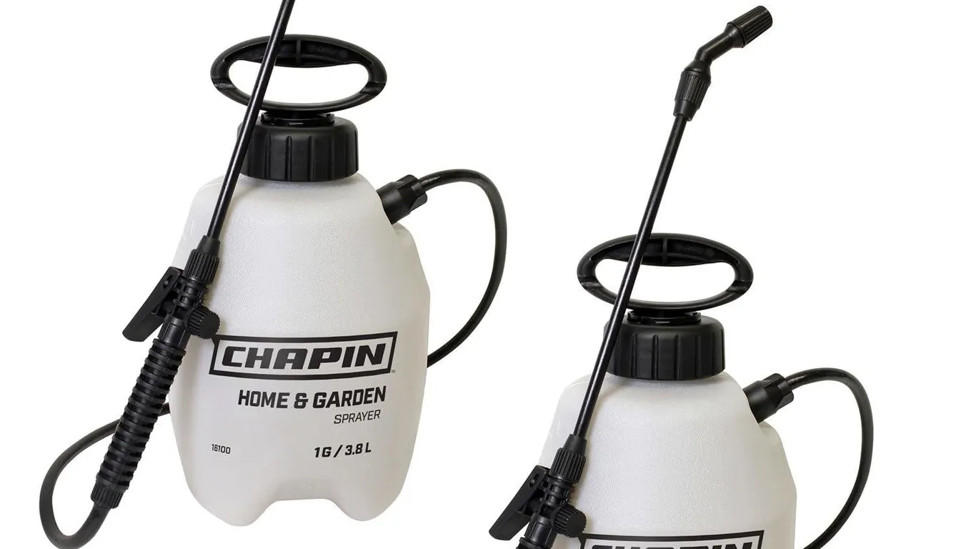 Chapin 16109 1-Gallon Pump Sprayer 2-Pack