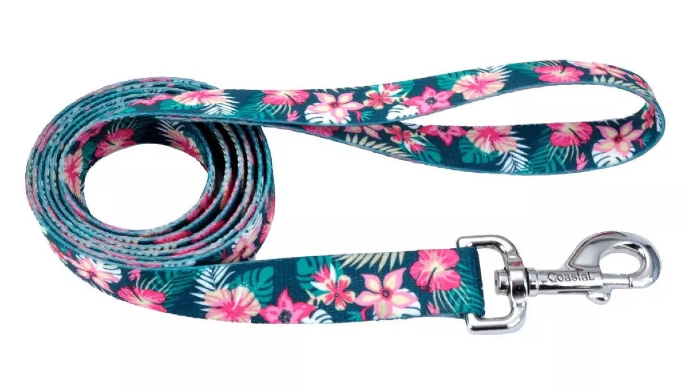 Coastal - Styles Dog Leash - Vibrant and Trendy...