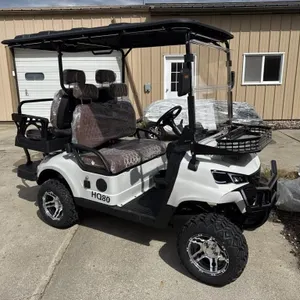 SDLANCH 2026 4-Passenger Electric Golf Cart