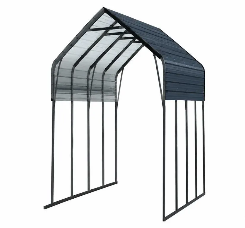 SDLANCH 2026 20' x 20' DualShield Carport / Garage