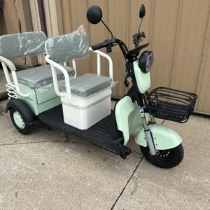 SDLANCH 2026 IRGC40 Electric Utility Cart
