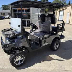 SDLANCH 2026 4-Passenger Electric Golf Cart