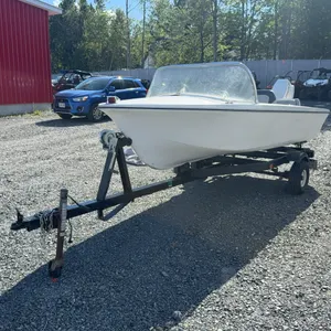 1976  Johnson  Boat