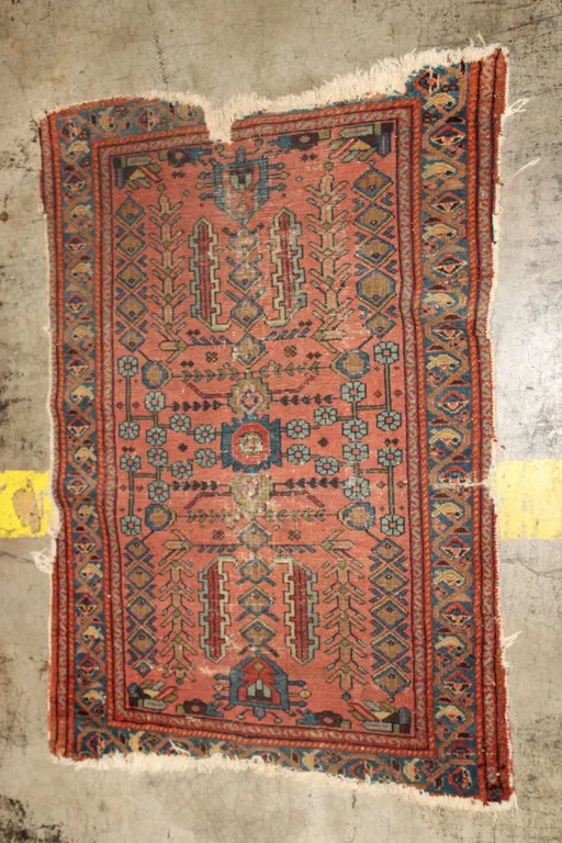 Oriental Area Rug