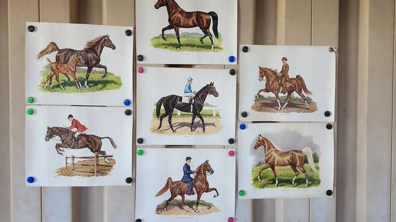 7 Ct. 1960s Parke, Davis, & Co. Ole Larsen Horse Prints 18"X14"