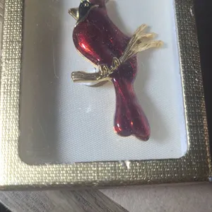 Gold Tone and Red Cardinal Bird Brooch in Presentation Box, Enamel Detailing
