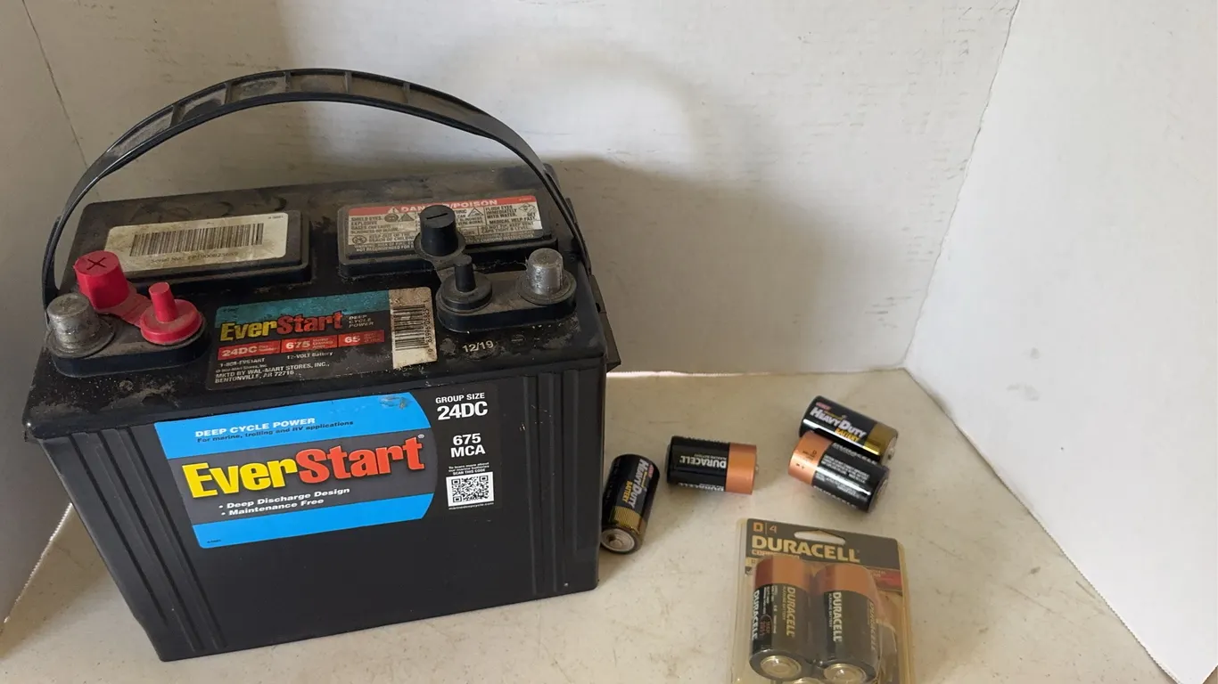 EverStart 24DC Marine Battery with Duracell D Batteries