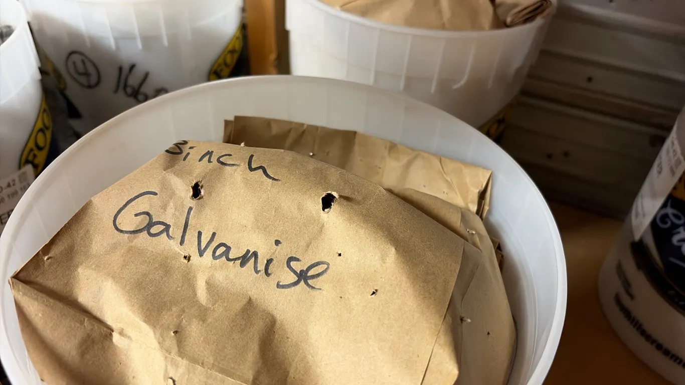 NEW/UNUSED PAIL CONSISTING OF 3 BAGS OF 3" NAILS ONE PAIL CONSISTING OF 3 BAGS OF 2" NAILS