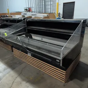 74" Hill Phoenix C054042HSC6 (2013), Portable self contained open air cooler, 120V