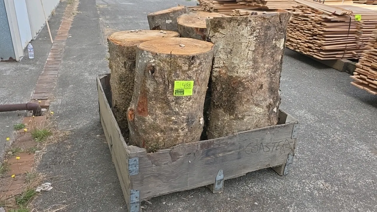 Crate of live hardwood log cuts. Approx. 28" to 36"L x 16" to 18"H. Stored in a wooden crate.