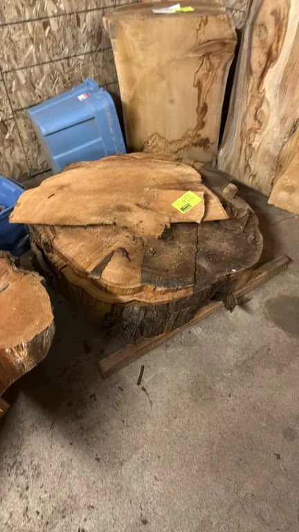 Cedar live edge cross-cut tree slabs. Features rough cut wood with natural live edge bark. Dimensions: assorted diameter and varying thickness.