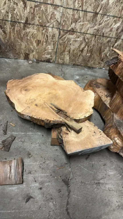 Cedar live edge cross-cut tree slabs. Features natural bark and live edge perimeters. Assorted diameters and varying thicknesses.