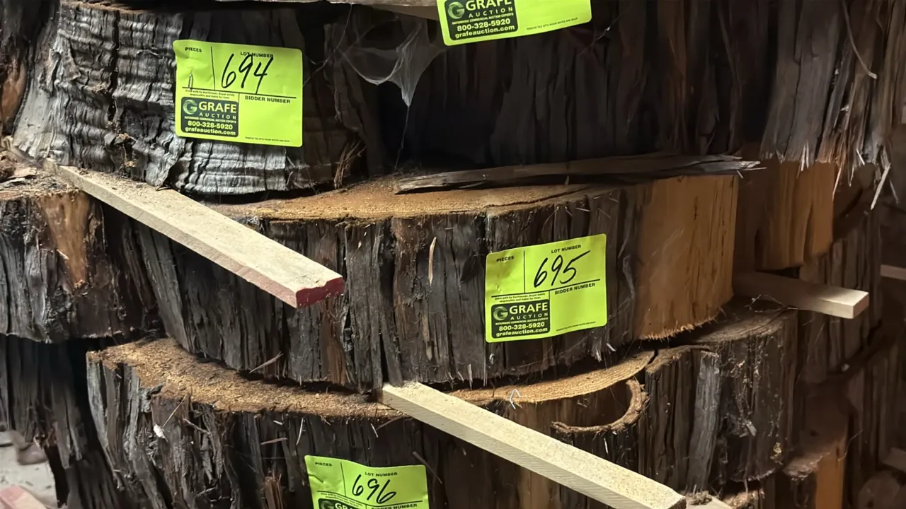Cedar live-edge cross-cut tree slab. Features natural bark edge. Approximately 43" dia. x 5.5" thick.