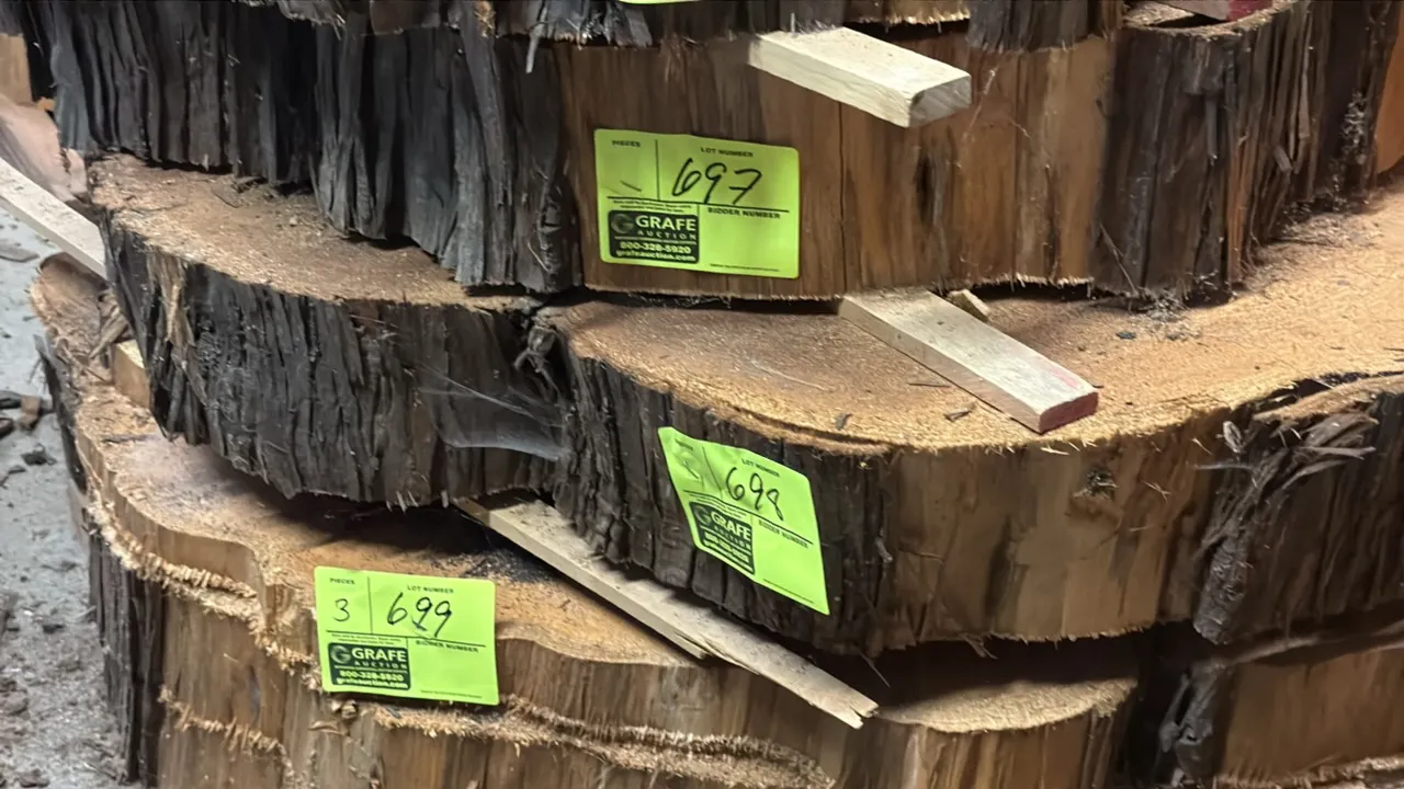 Cedar live edge cross-cut tree slabs. Features natural bark edge and visible growth ring details. Approx. 45" diameter x 5.5" thick.