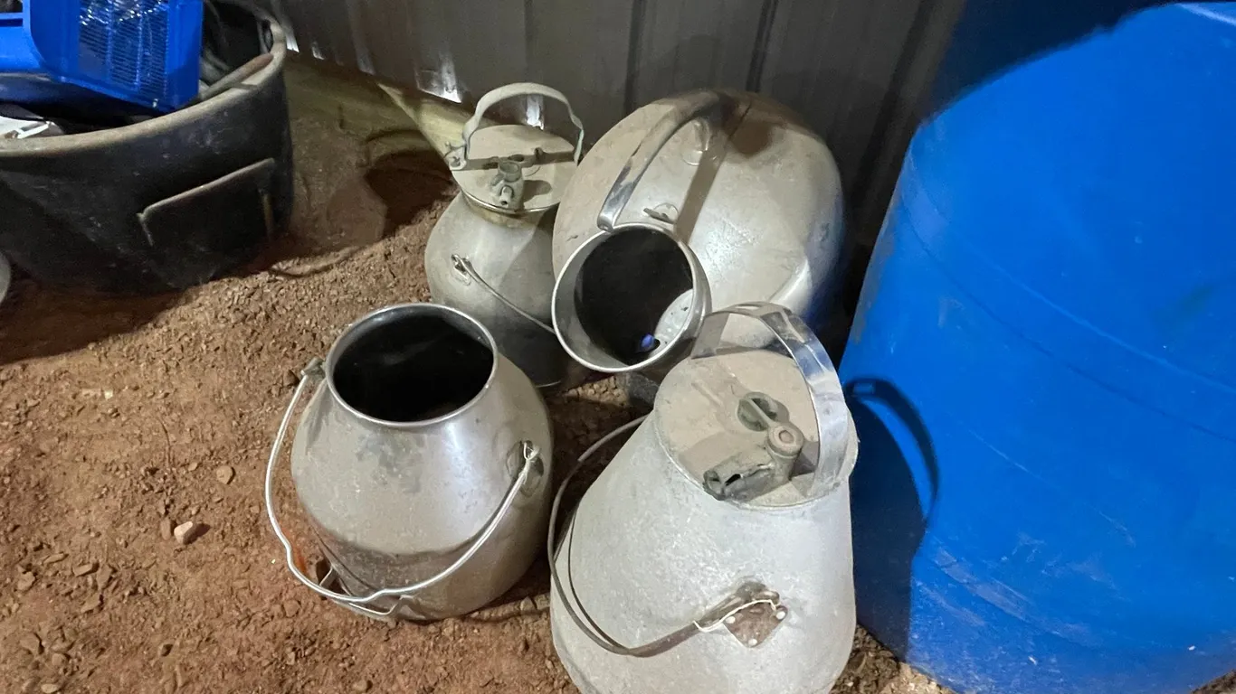 Various Size Milking Cans