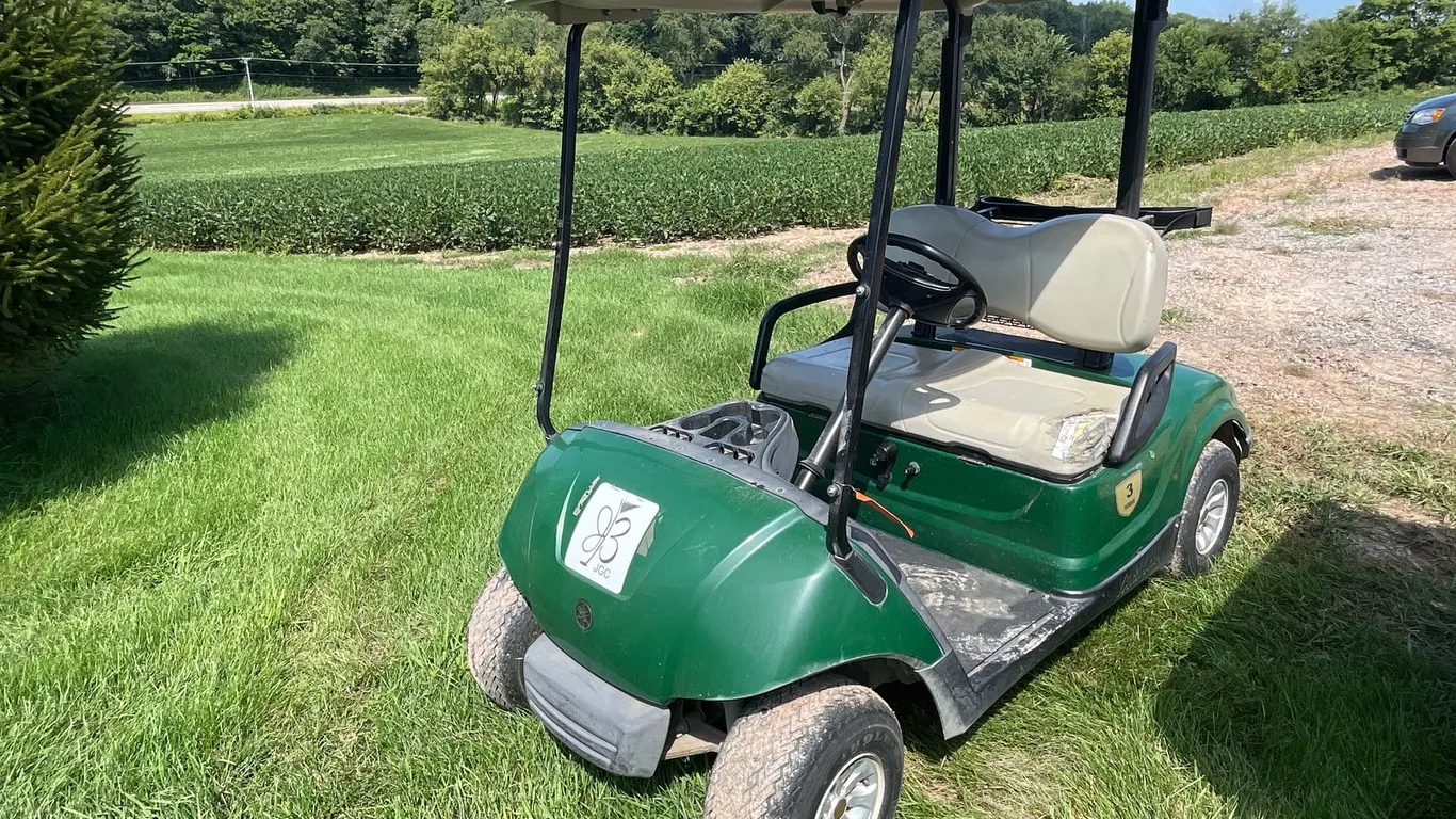 2012 Yamaha Gas Golf Cart