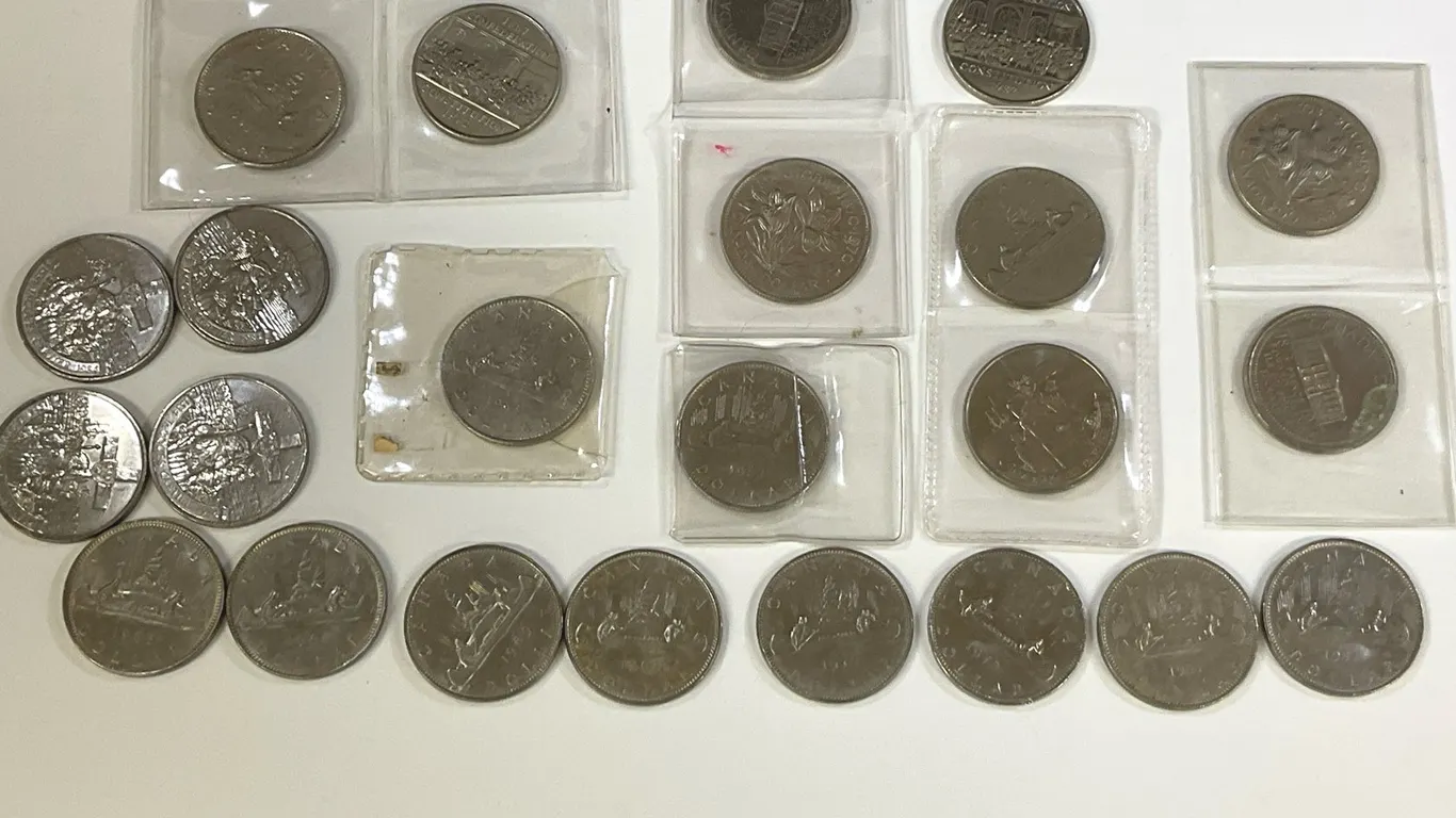 Canadian Dollar Coin Collection