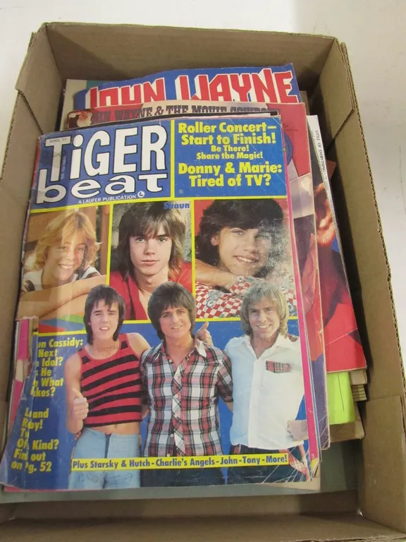 Lot Of Vintage Magazines, Booklets, And More