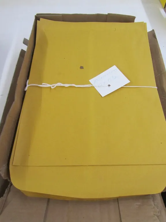 (100) 12" x 15.5" Envelopes