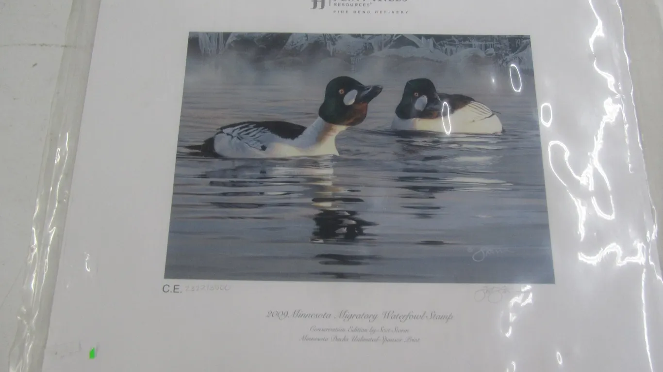 Scot Storm 2009 Minnesota Migratory Waterfowl Stamp Print