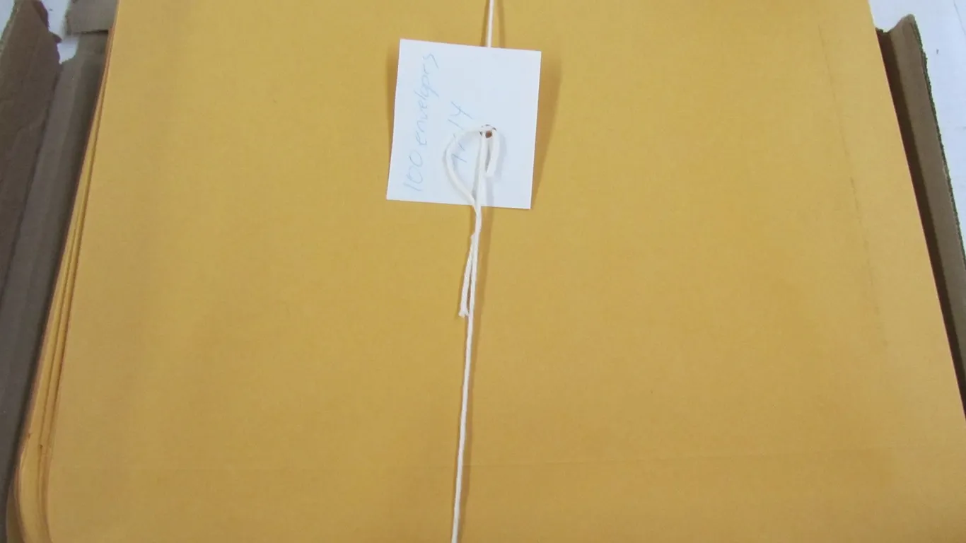 (100) 9" x 14" Envelopes