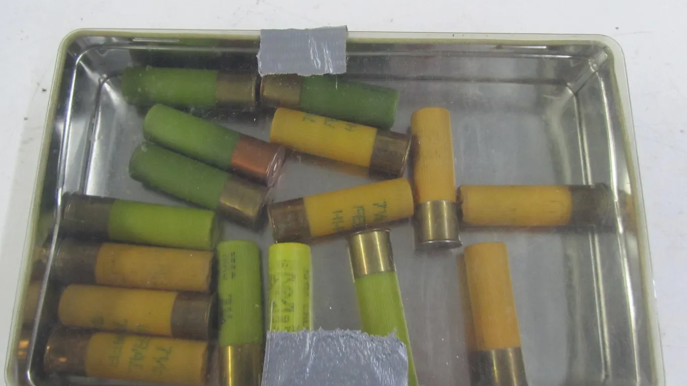 (16) Assorted 20ga 2-3/4" Rounds