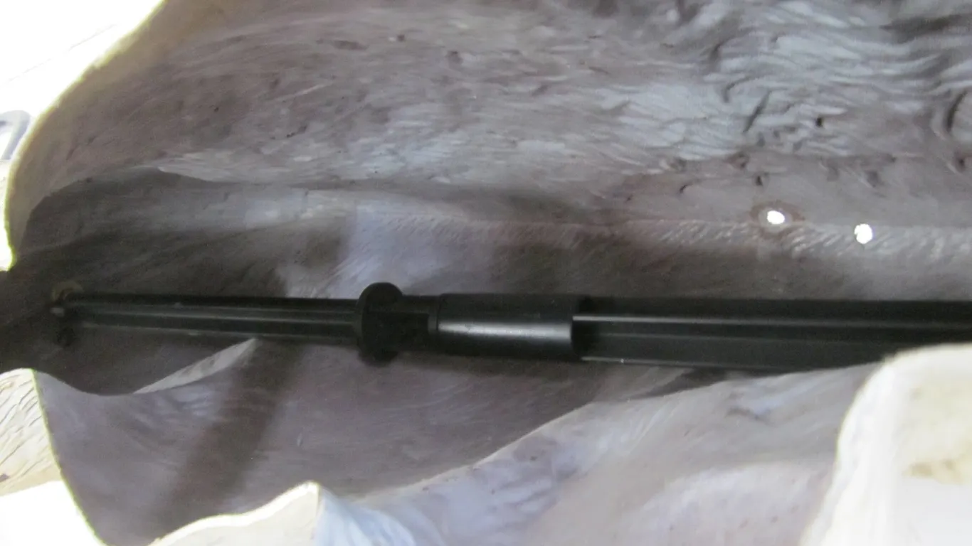 Coyote Field Decoy