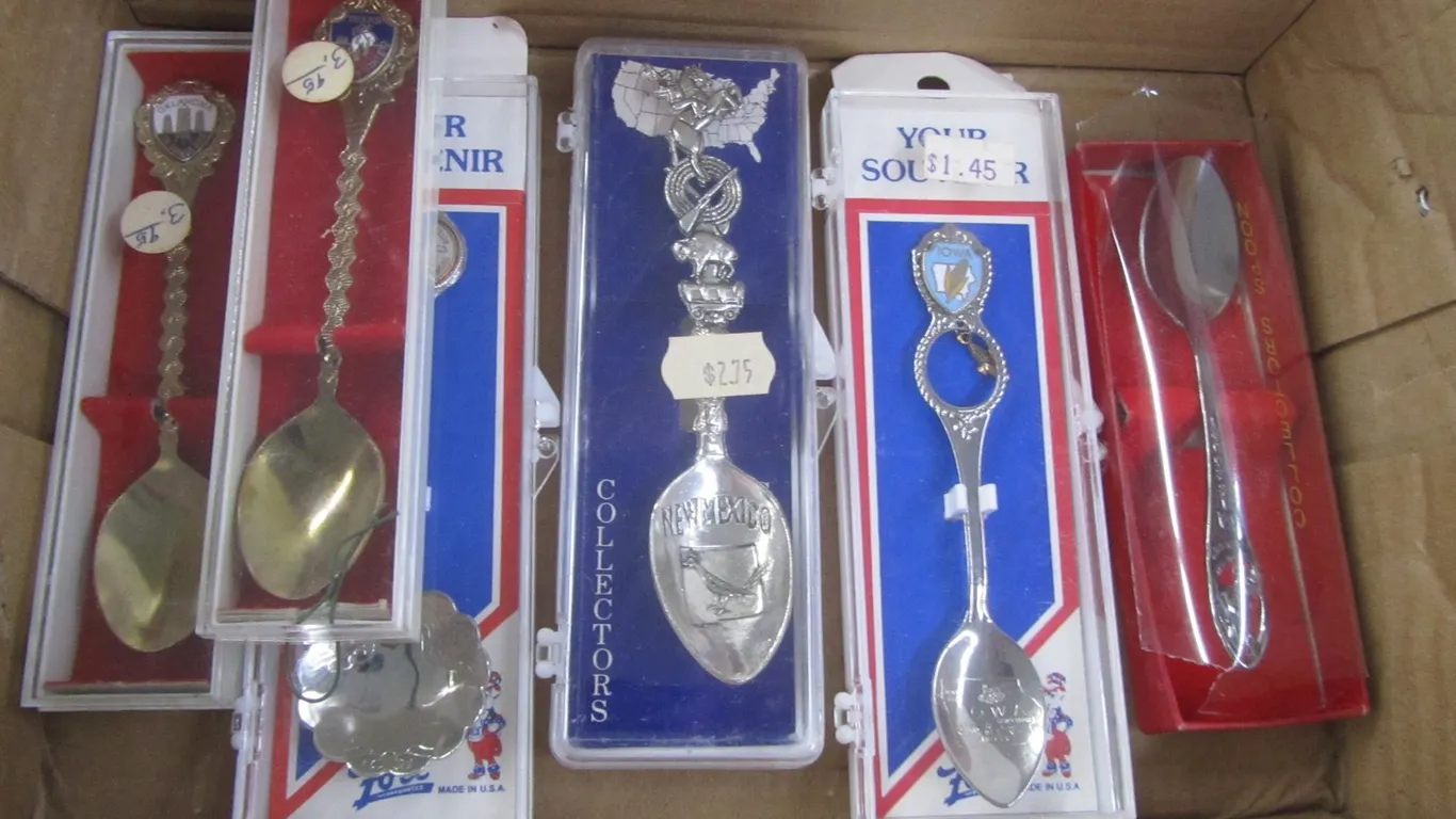 (6) Collectible State Souvenir Spoons