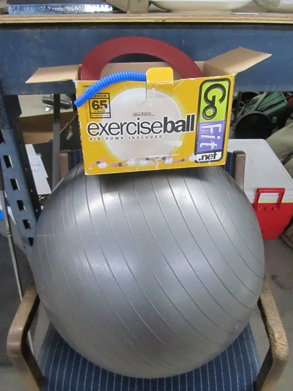 Exercise Ball w/Pump