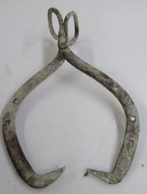 Set Of Ice Tongs