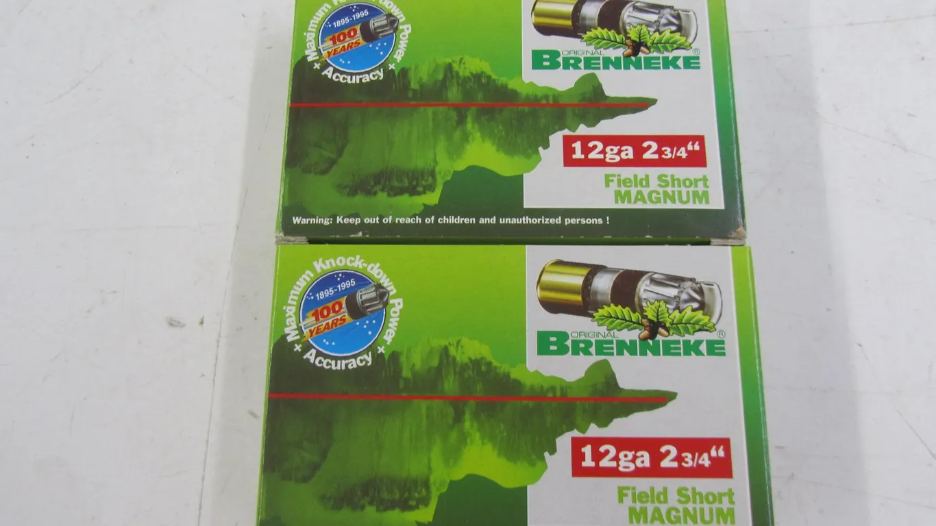 (10) 12ga 2-3/4" Shotgun Slugs