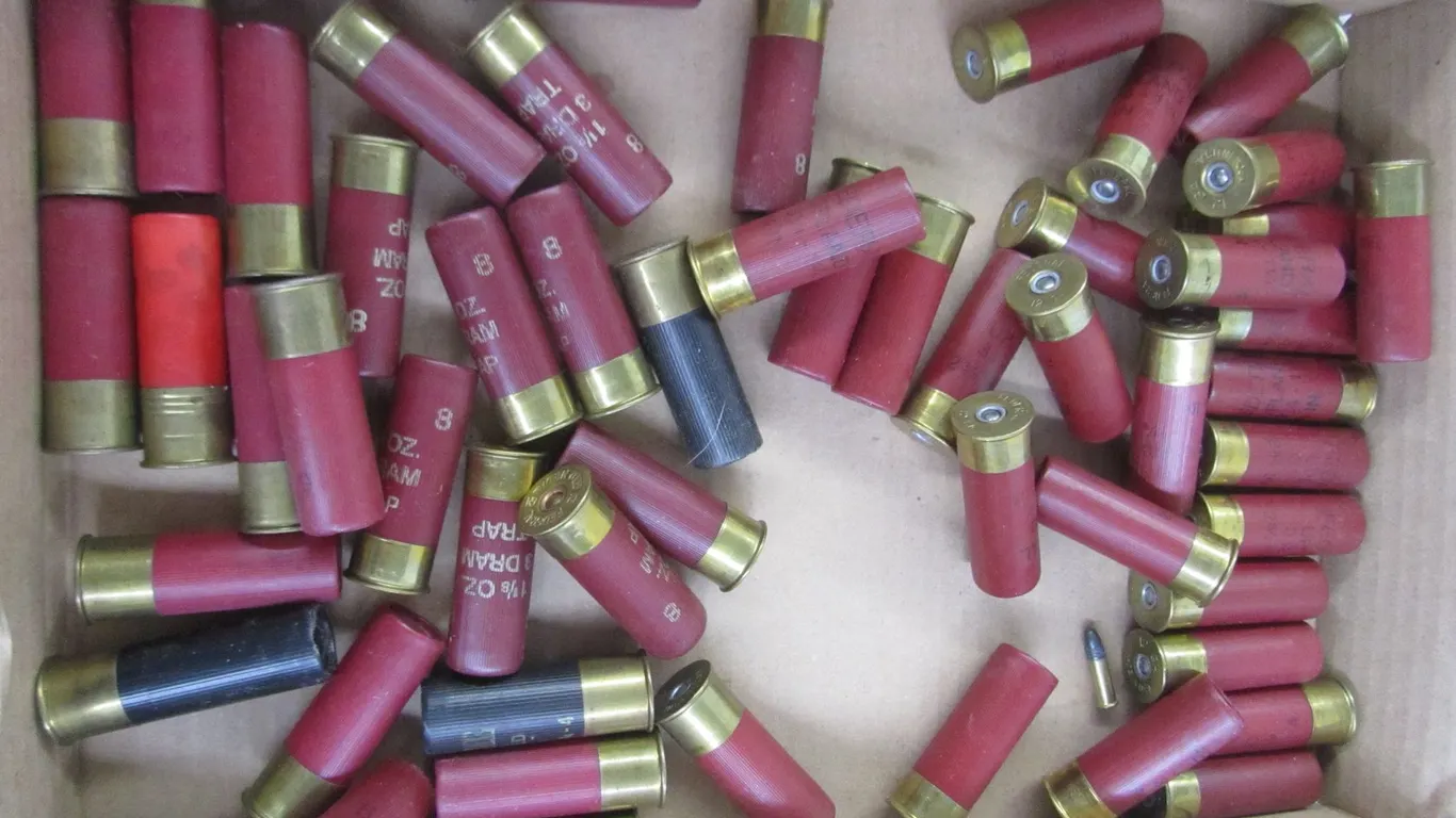 (55) Assorted 12ga 2-3/4" Rounds