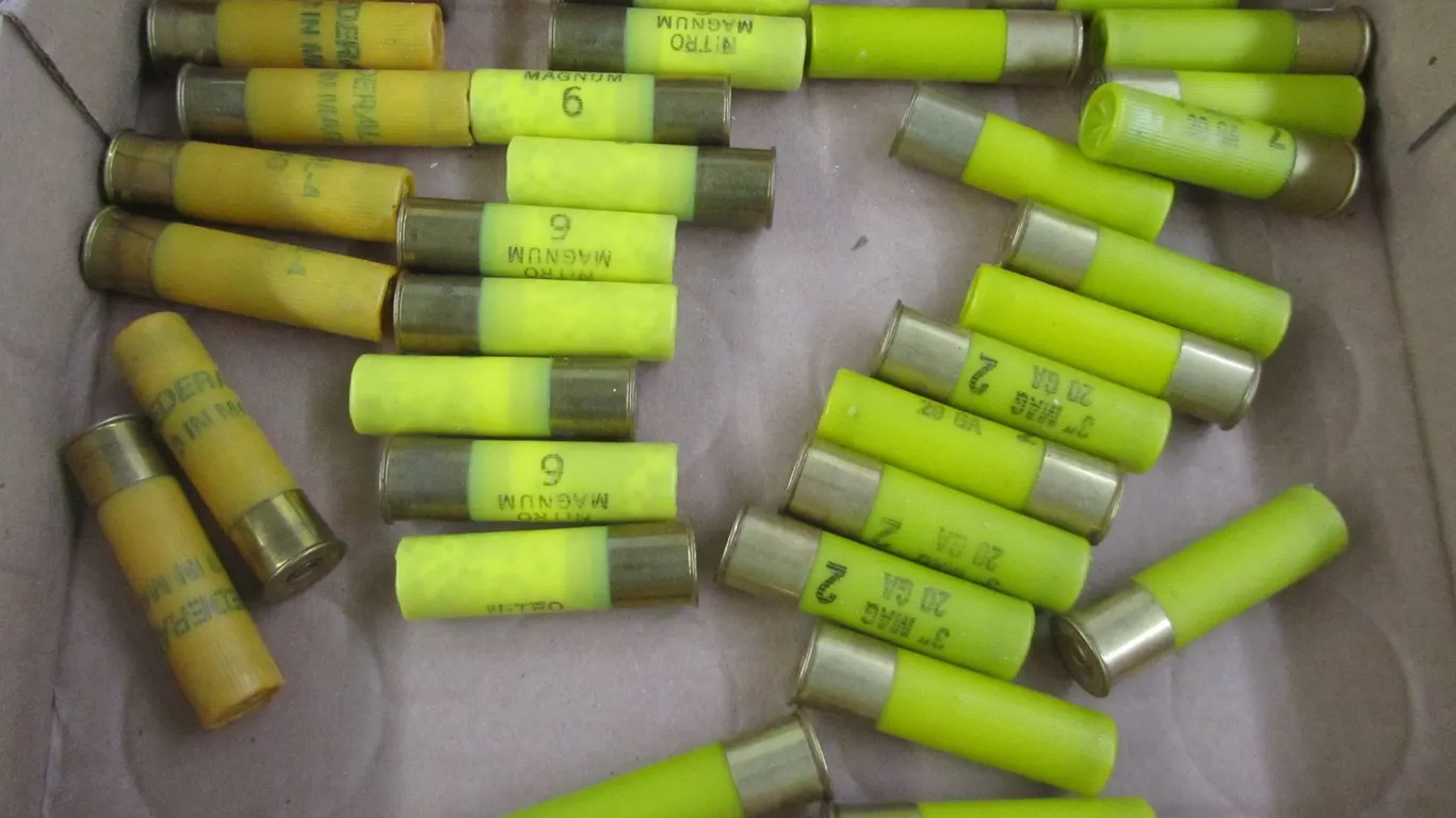 (32) Assorted 20ga Rounds