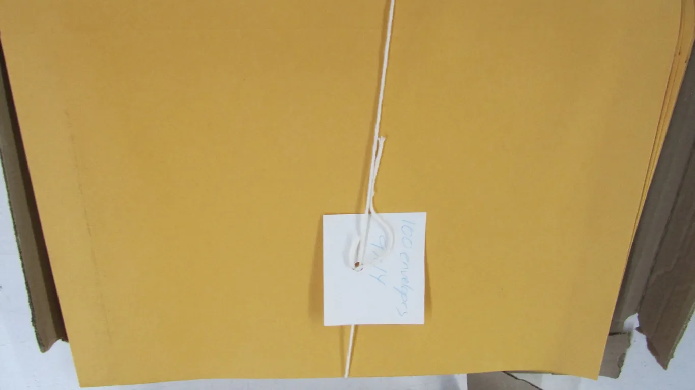 (100) 9" x 14" Envelopes