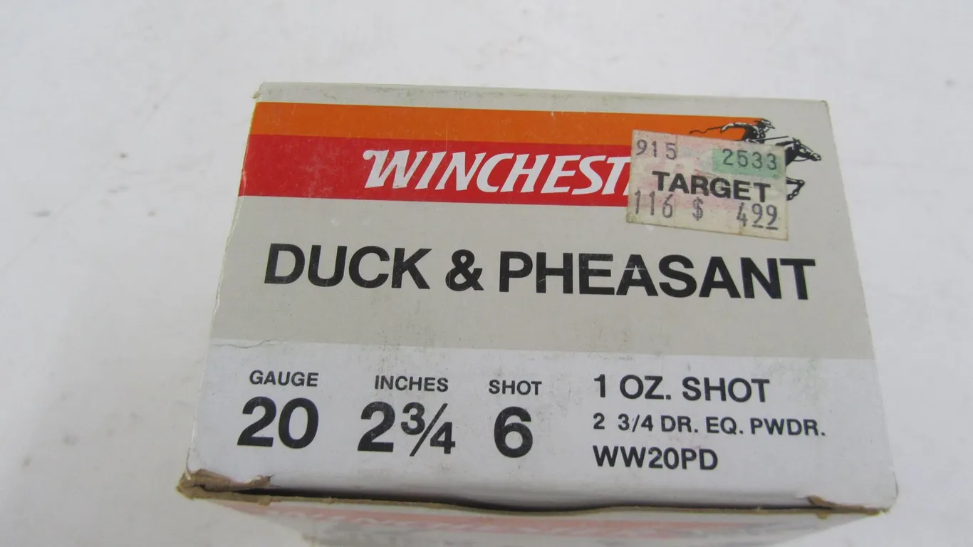 (25) 20ga 2-3/4" 6 Shot Rounds