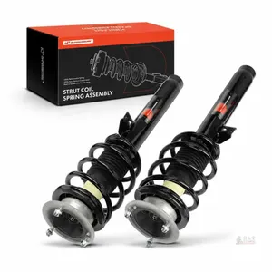 NEW Pair of Front Complete Strut & Coil Spring Assemblies for 2013–2015 BMW X1 sDrive28i RWD