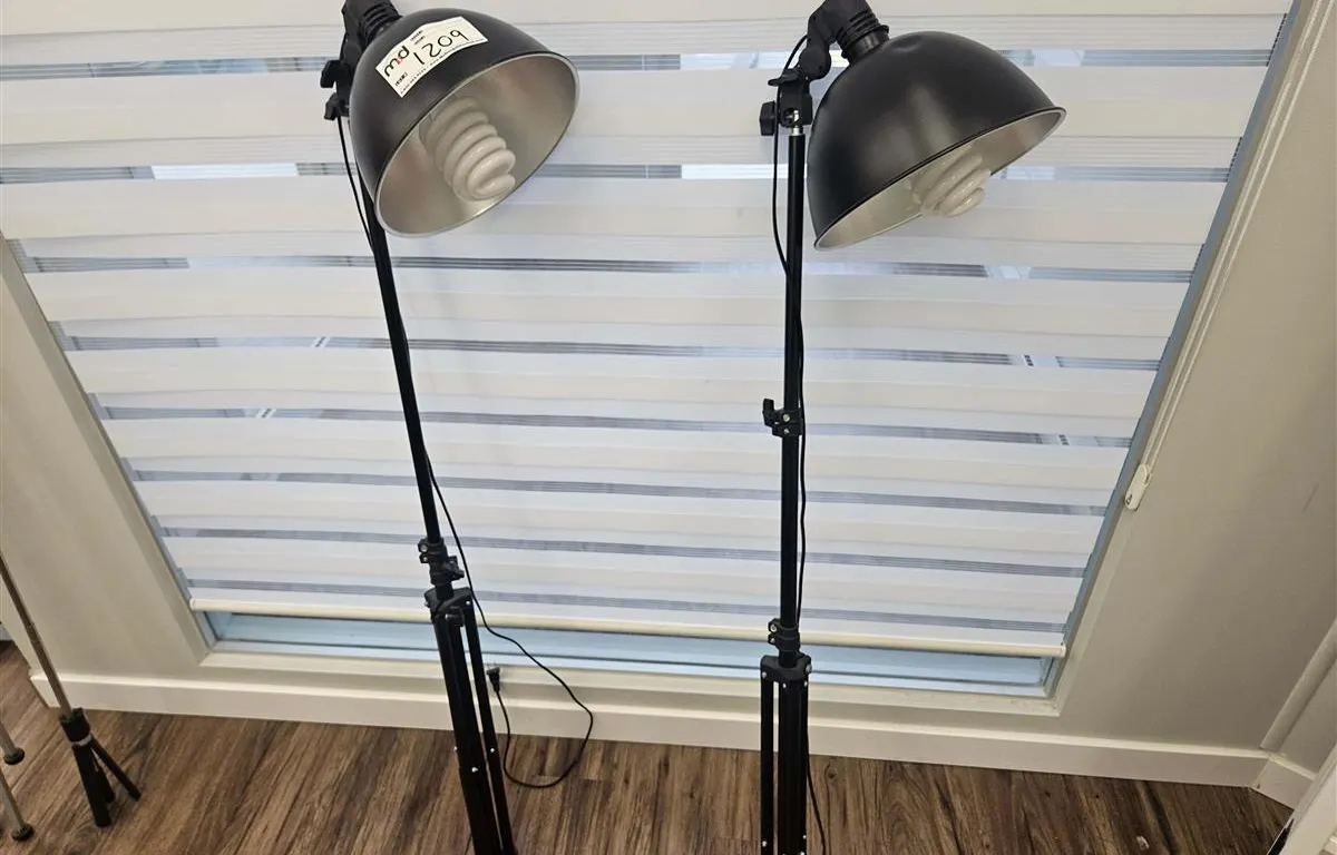 Pair of Adjustable Black Floor Lamps
UNRESERVED