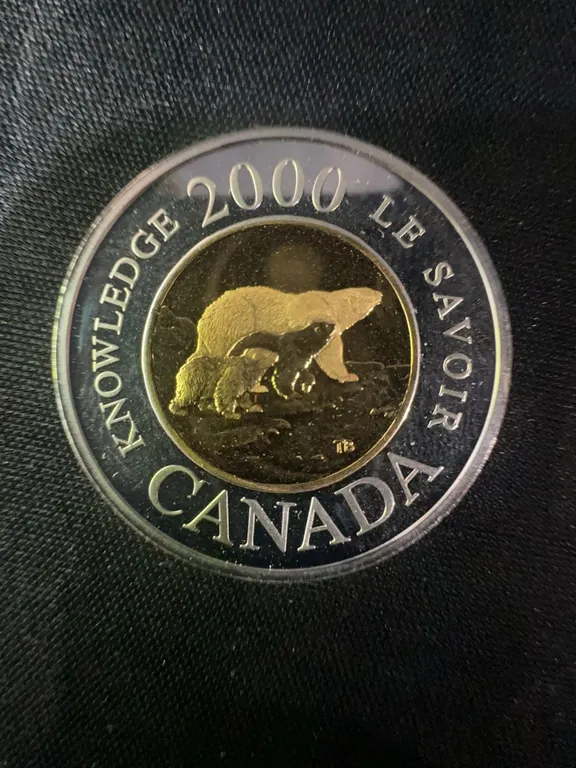 2000 Canada $2 Knowledge Coin, .9999 Fine Silver, 24k Gold Plated, 9g